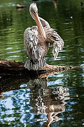 《毁灭战士：永恒》Horde模式新预告 今日正式上线